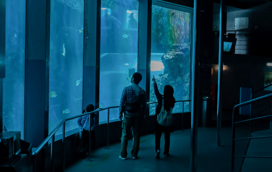 下田海中水族館